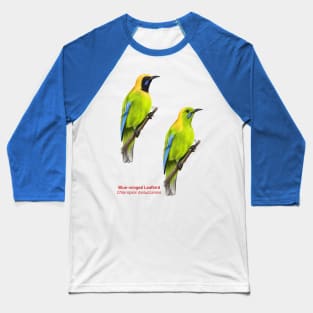 Blue-winged Leafbird | Chloropsis moluccensis ⚥ Baseball T-Shirt